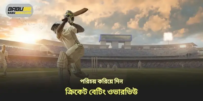 ক্রিকেট বাজির ওভারভিউ