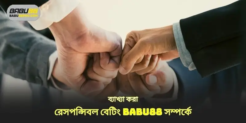 এর ব্যাখ্যা দায়িত্বশীল বাজি babu88