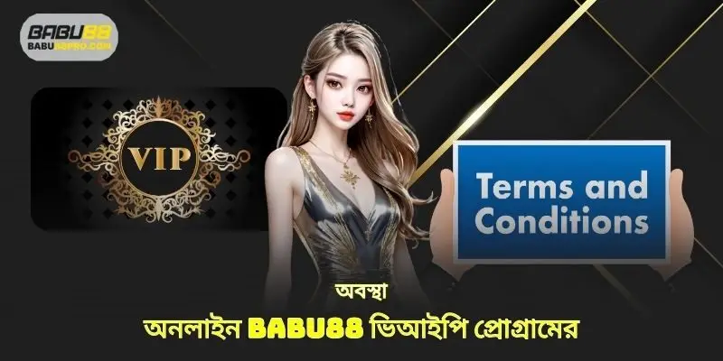 এর শর্তাবলী VIP প্রোগ্রাম babu88 অনলাইন